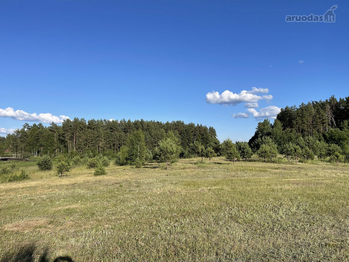Parduodamas Išskirtinis Sklypas Trakų Raj. - nuotraukos Nr. 6