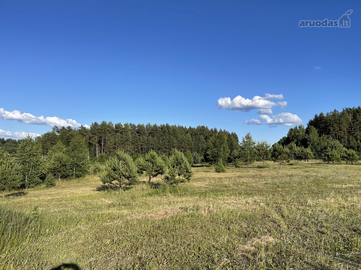 Parduodamas Išskirtinis Sklypas Trakų Raj. - nuotraukos Nr. 7