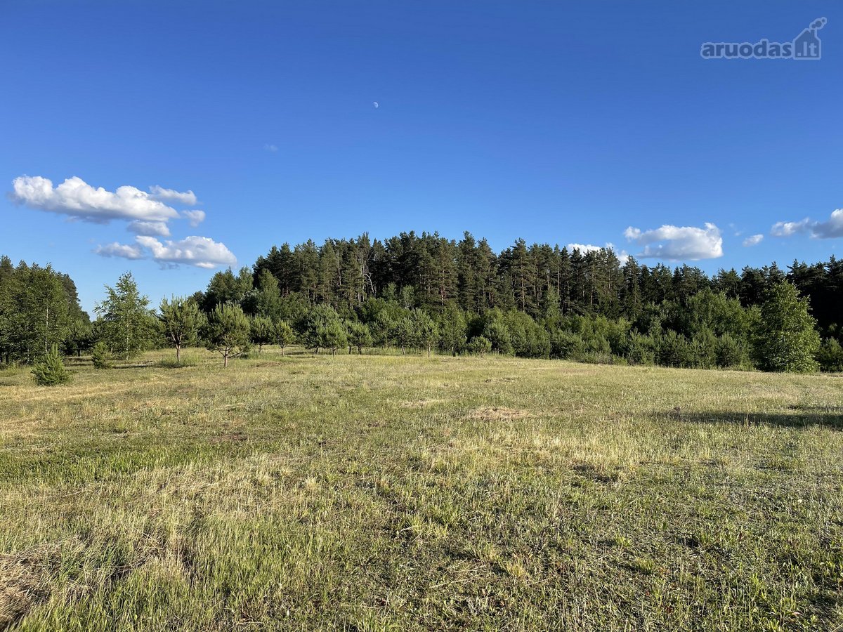 Parduodamas Išskirtinis Sklypas Trakų Raj. - nuotraukos Nr. 8