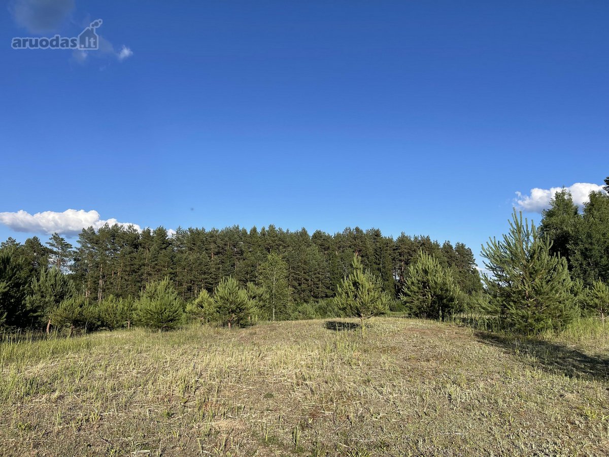 Parduodamas Išskirtinis Sklypas Trakų Raj. - nuotraukos Nr. 9
