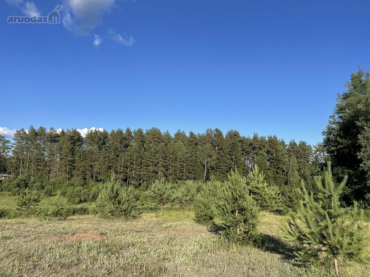 Parduodamas Išskirtinis Sklypas Trakų Raj. - nuotraukos Nr. 11