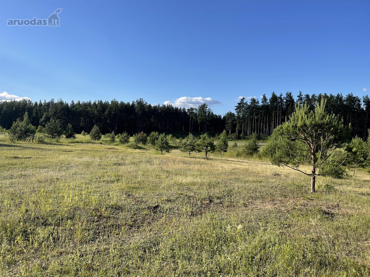 Parduodamas Išskirtinis Sklypas Trakų Raj. - nuotraukos Nr. 17