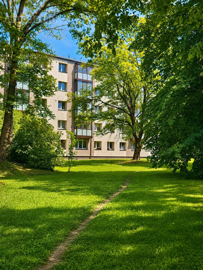 Pačiame miesto centre (minutė pėstute iki - nuotraukos Nr. 23