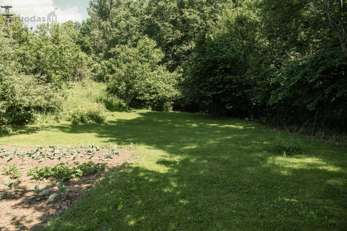 Parduodami kartu du greta esantys sklypai - nuotraukos Nr. 13