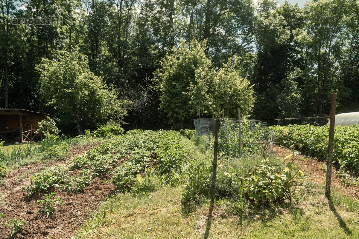 Parduodami kartu du greta esantys sklypai - nuotraukos Nr. 17