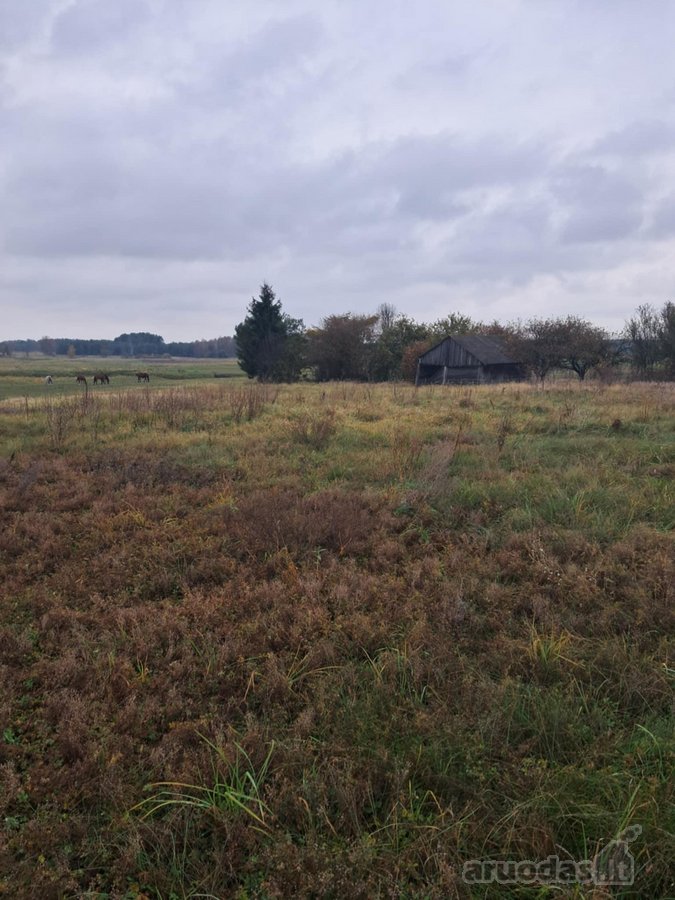 Parduodama Sodyba Lazdijų Rajone, Kudrėnėlių - nuotraukos Nr. 3