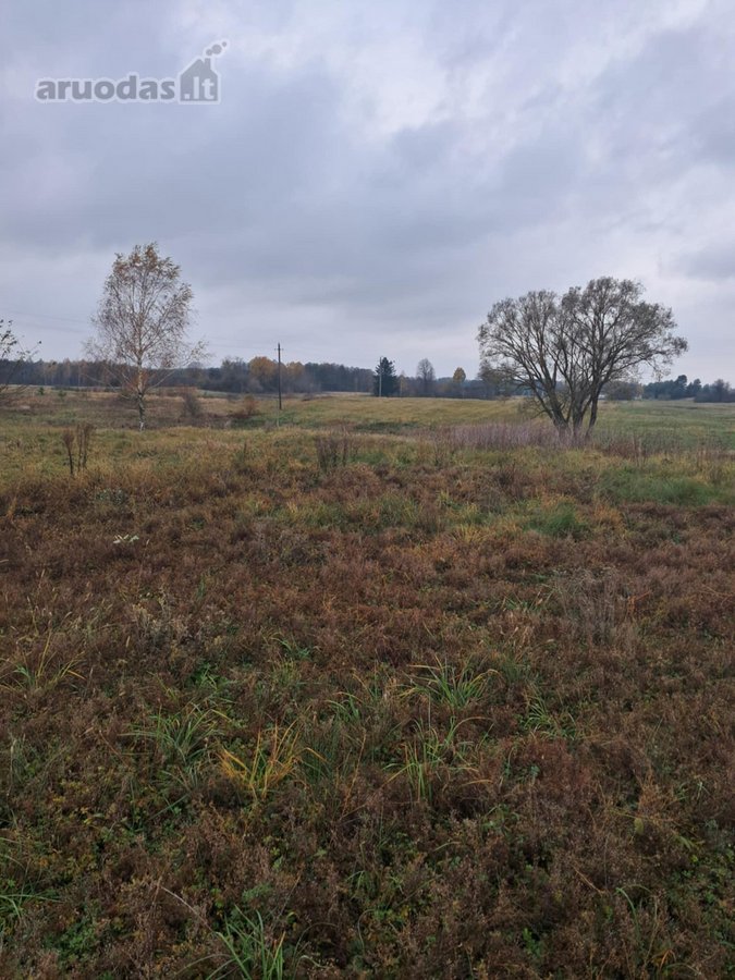 Parduodama Sodyba Lazdijų Rajone, Kudrėnėlių - nuotraukos Nr. 4