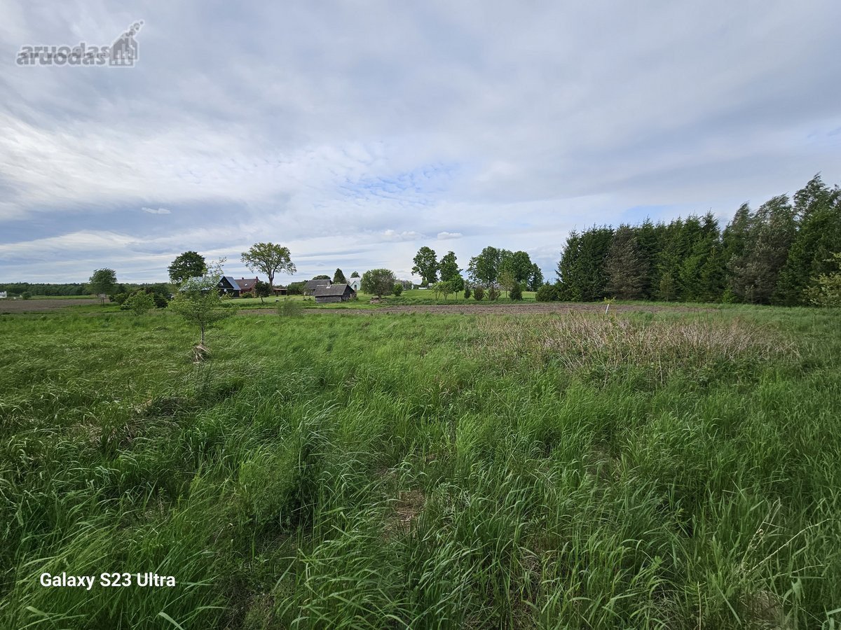 Parduodami namų valdos žemės sklypai, - nuotraukos Nr. 20