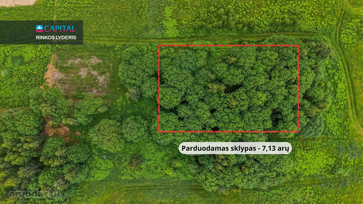 Parduodamas sklypas Pavilnyje, Juozo Ereto g. - nuotraukos Nr. 3