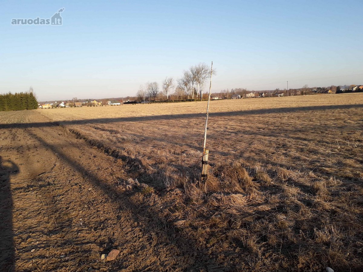 Parduodamas sklypas prie Marijampolės, - nuotraukos Nr. 10