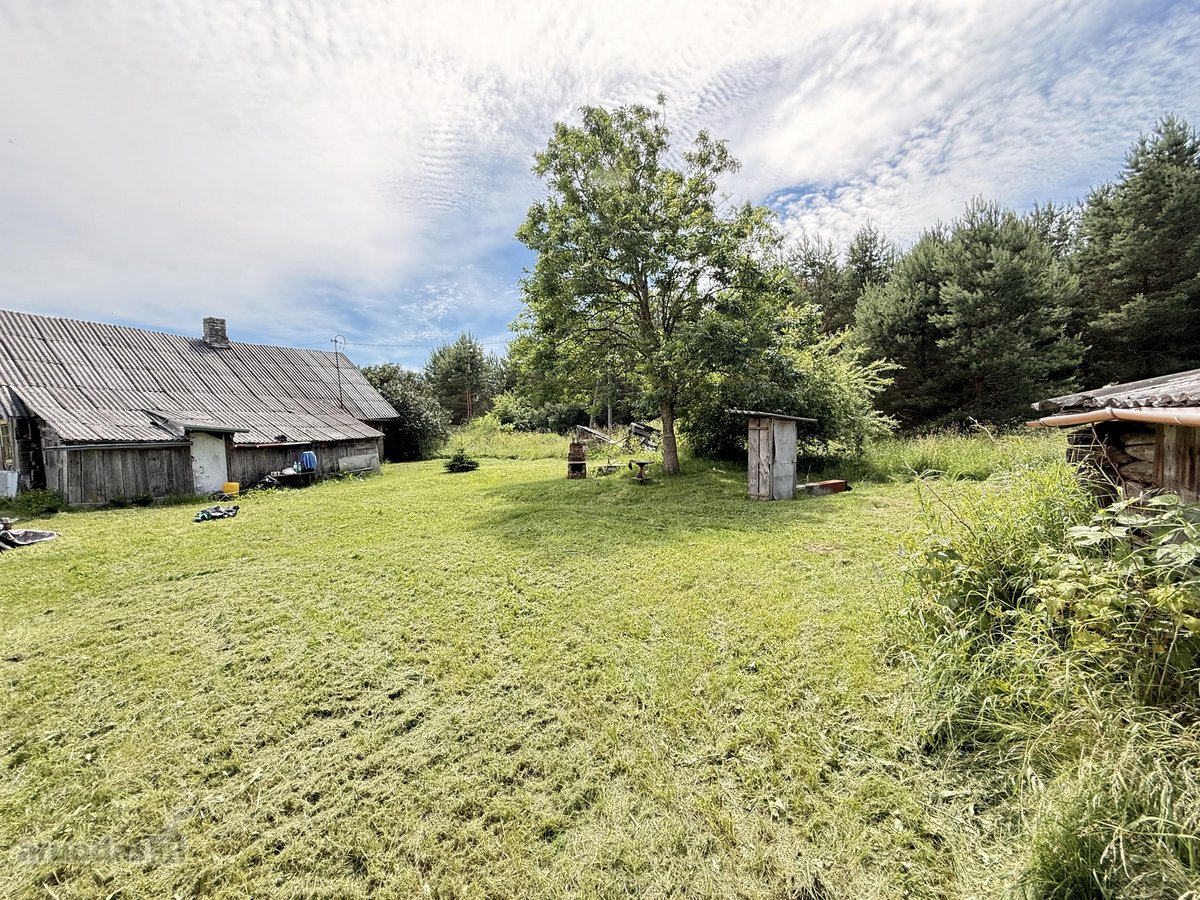 Parduodama sodyba ramioje ir vaizdingoje - nuotraukos Nr. 10