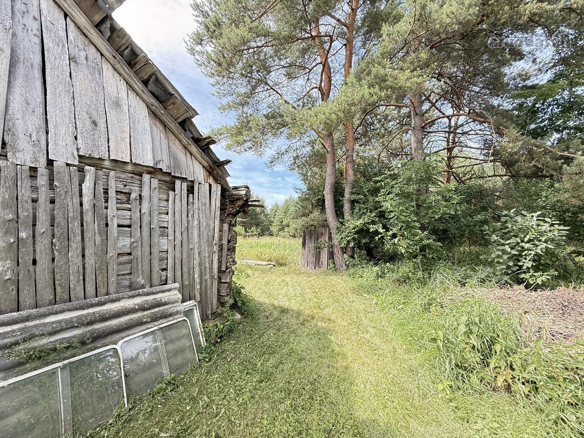 Parduodama sodyba ramioje ir vaizdingoje - nuotraukos Nr. 14
