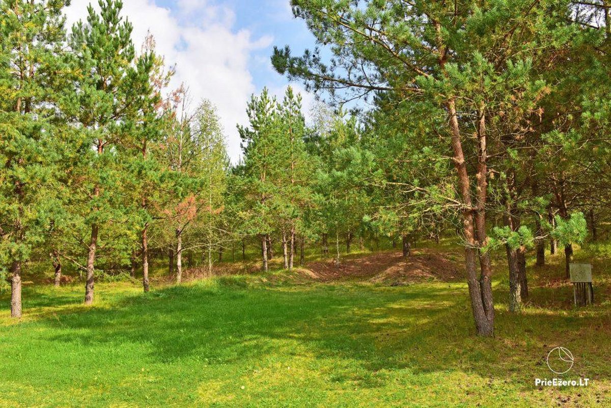 Parduodamas sėkmingai veikiantis kaimo - nuotraukos Nr. 43