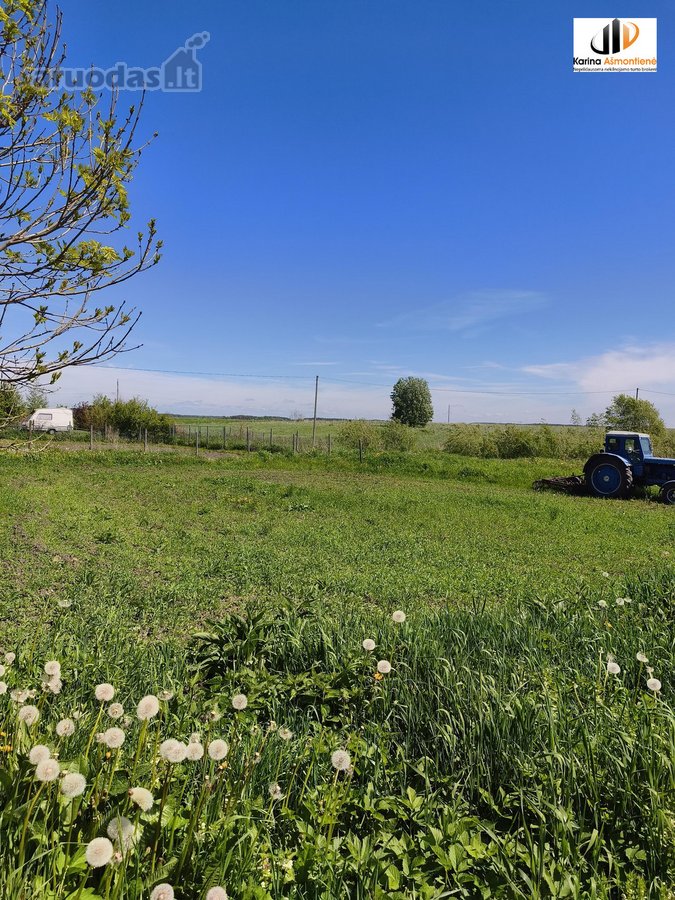 Parduodamas žemės ūkio paskirties sklypas - nuotraukos Nr. 12