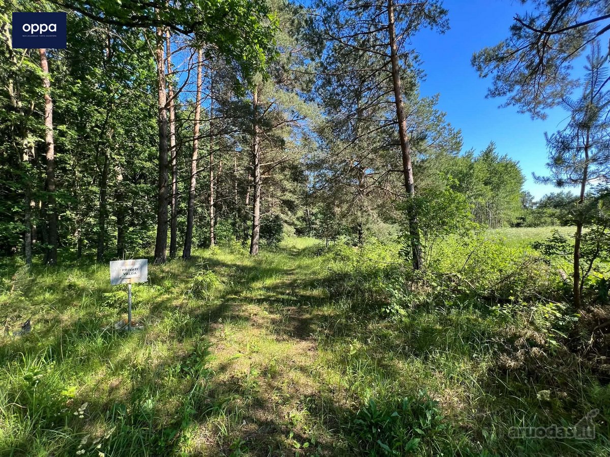 Parduodamas 3,10 ha žemės sklypas Ukmergės r.