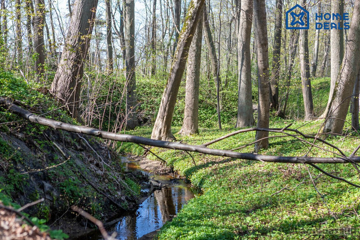Vos keli žingsniai iki Baltijos jūros – šis - nuotraukos Nr. 32