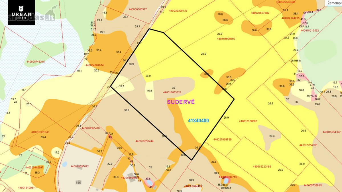 Erdvus 4 Ha Žemės Sklypas Strategiškai - nuotraukos Nr. 6