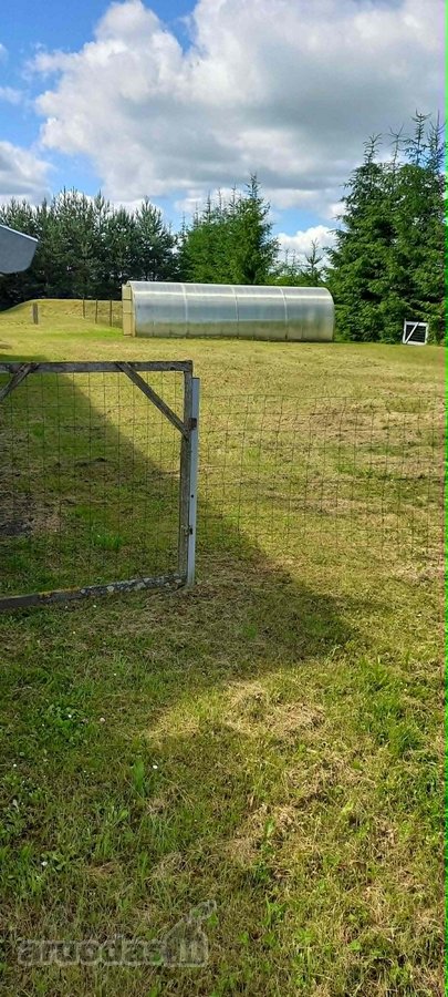 Sodyba tvarkinga, prie kelio Kupiškis – - nuotraukos Nr. 5