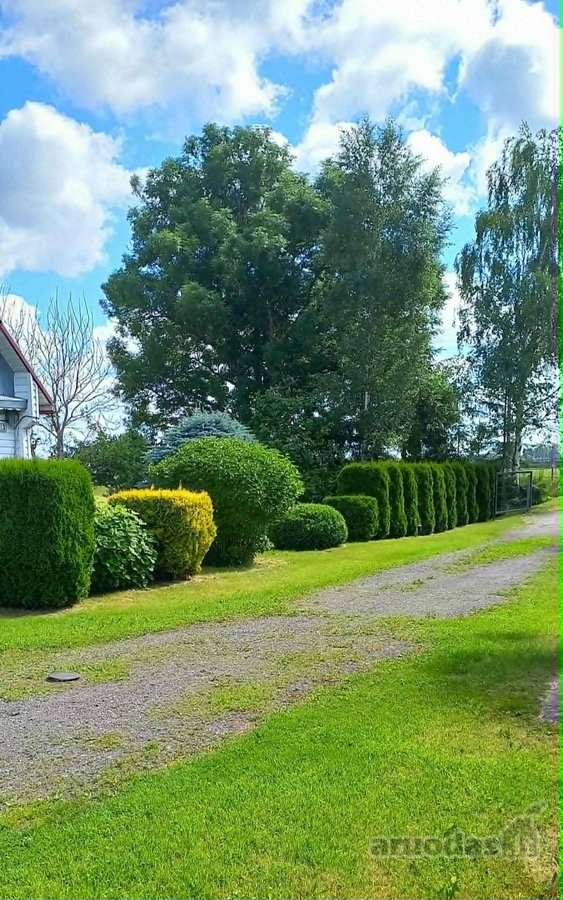 Sodyba tvarkinga, prie kelio Kupiškis – - nuotraukos Nr. 12