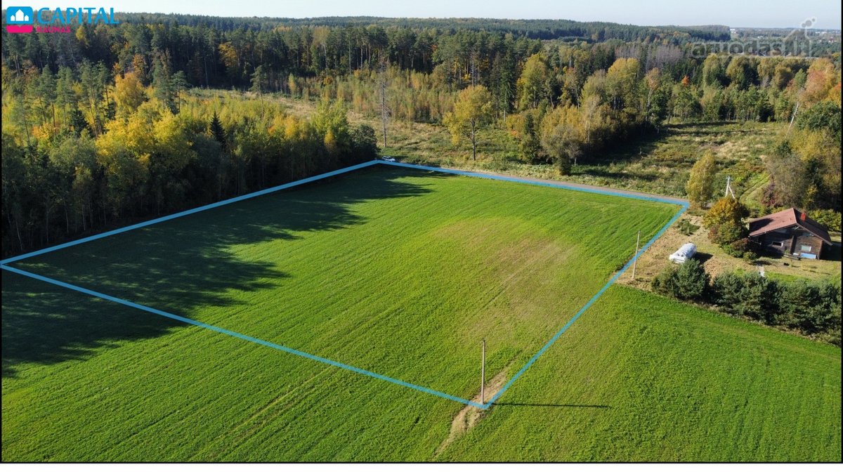 Parduodamas 1 ha Sklypų Masyvas, padalintas į - nuotraukos Nr. 3