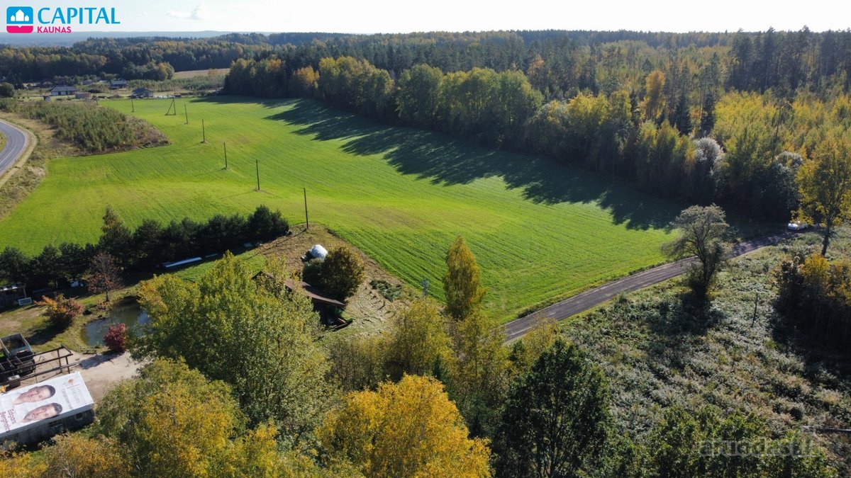 Parduodamas 1 ha Sklypų Masyvas, padalintas į - nuotraukos Nr. 4