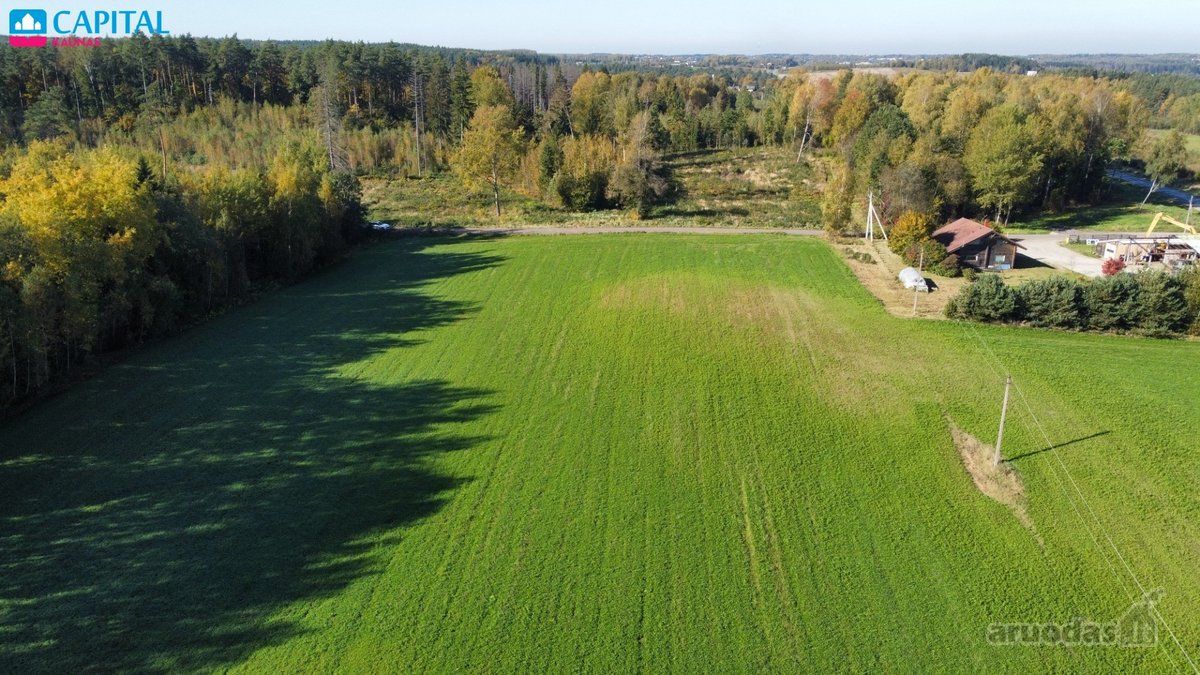 Parduodamas 1 ha Sklypų Masyvas, padalintas į - nuotraukos Nr. 6