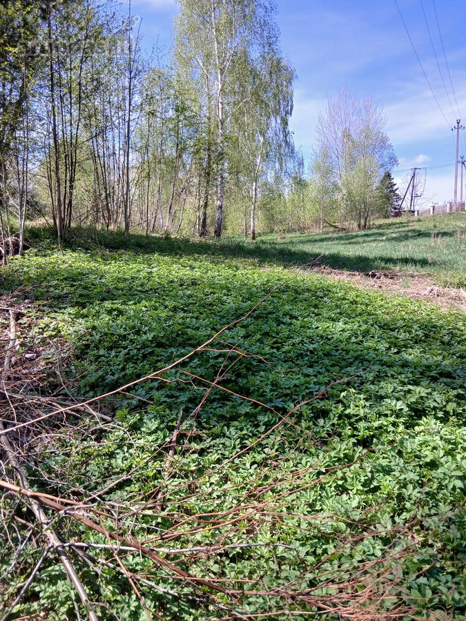 Parduodamas 10 a namų valdos sklypas Vilniaus - nuotraukos Nr. 11