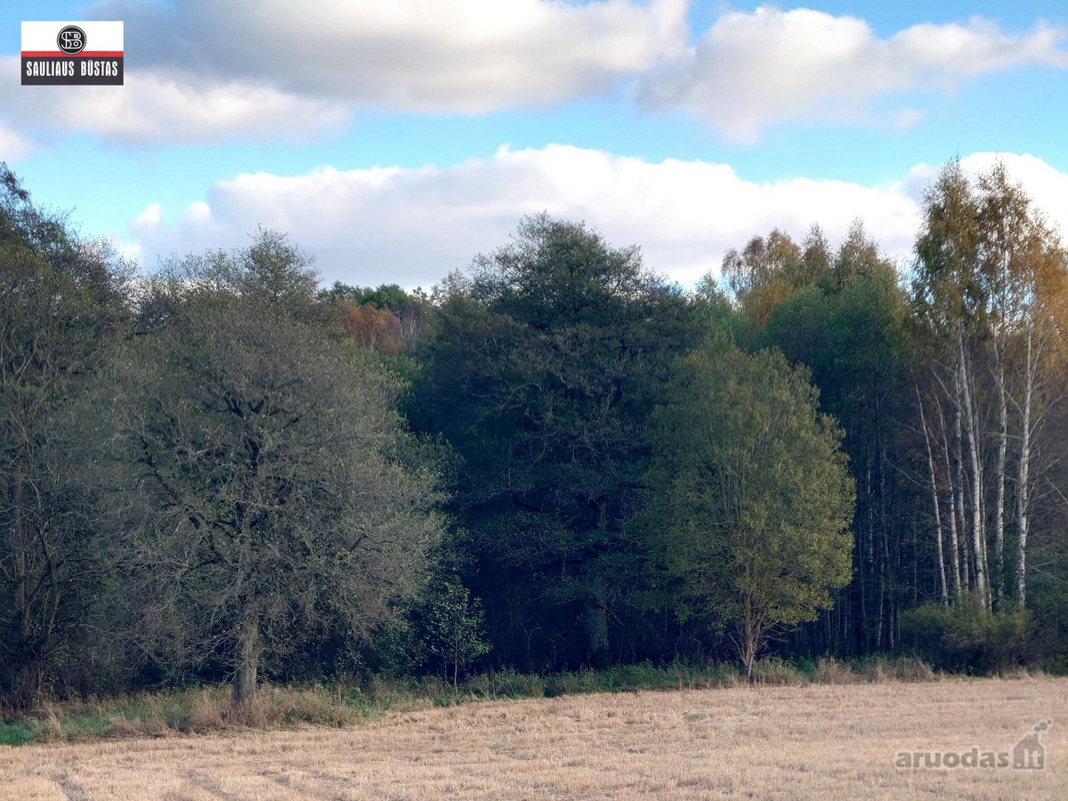 Parduodamas 4,3000 ha žemės sklypas Šiaulių - nuotraukos Nr. 17
