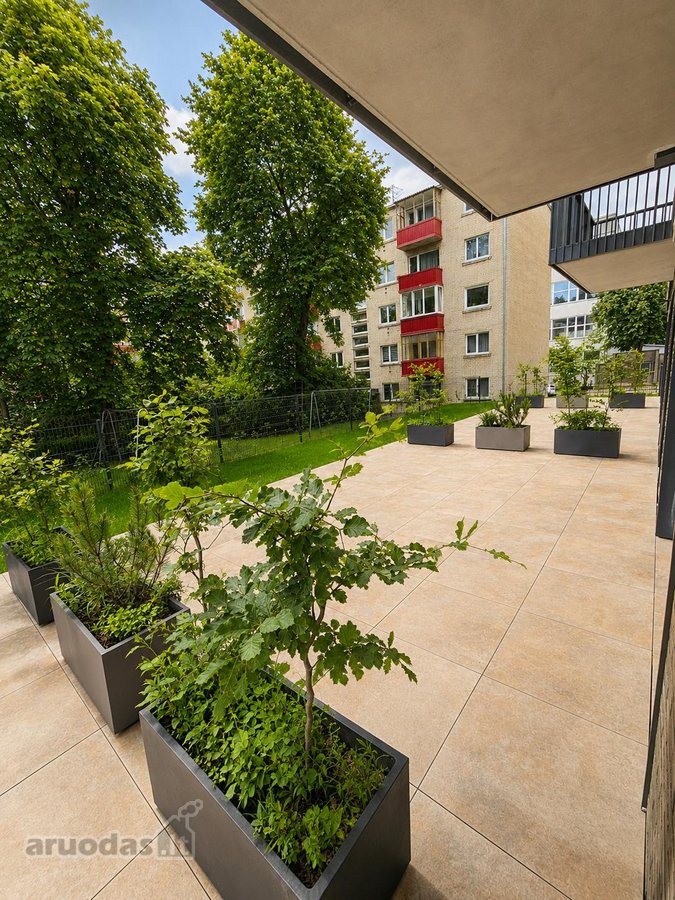 Pačiame miesto centre, projekte “Centro - nuotraukos Nr. 3