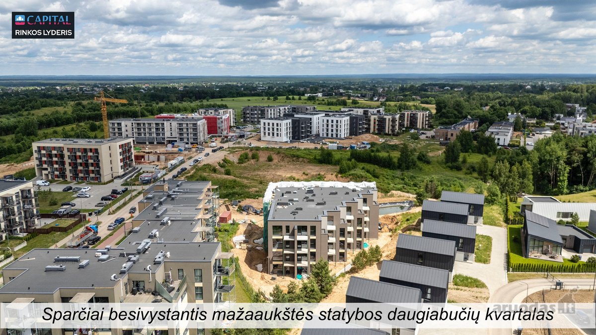Myliu Antakalnį – į aplinką harmoningai