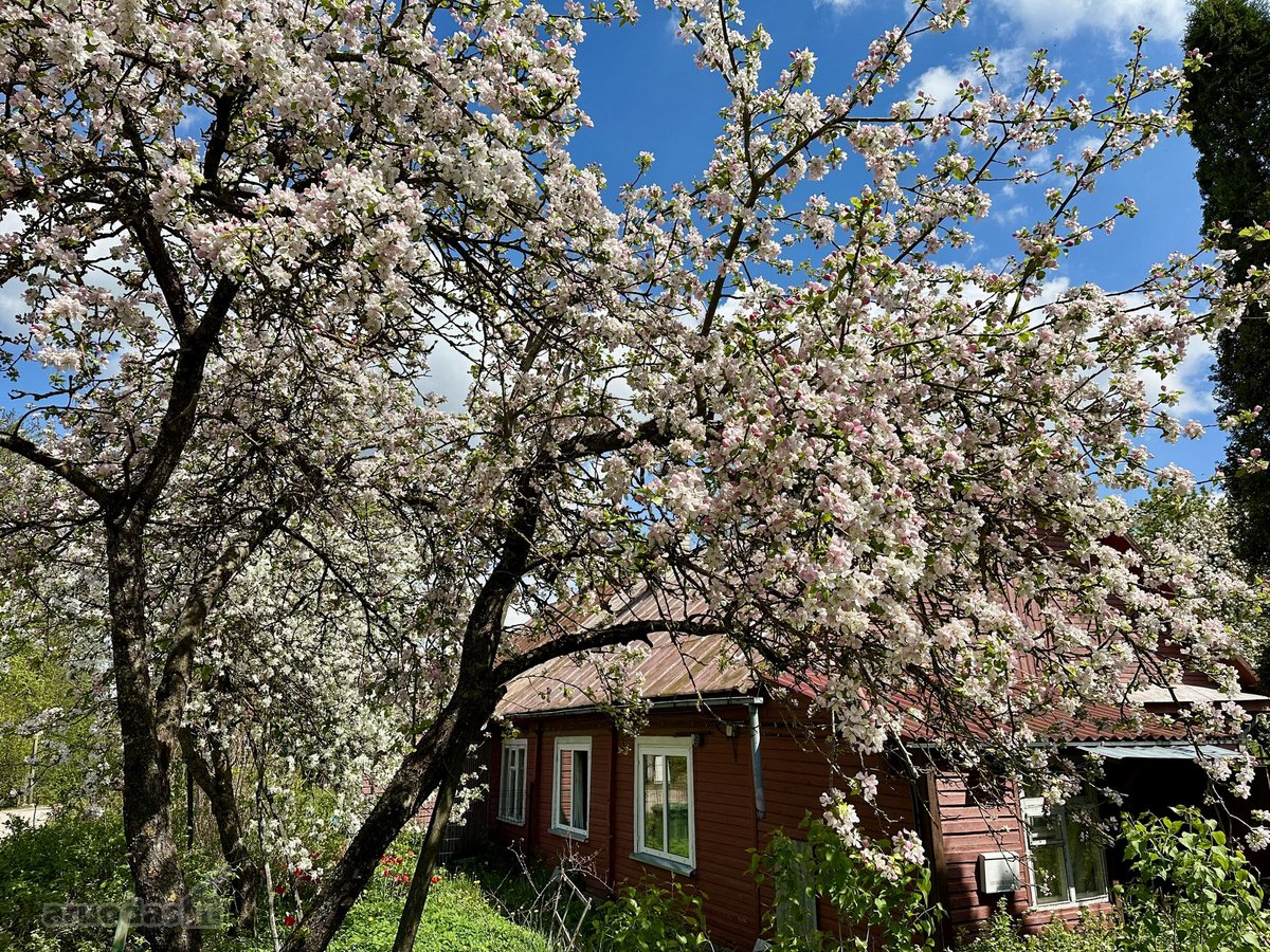 Parduodamas dviejų kambarių butas Kavarsko - nuotraukos Nr. 25