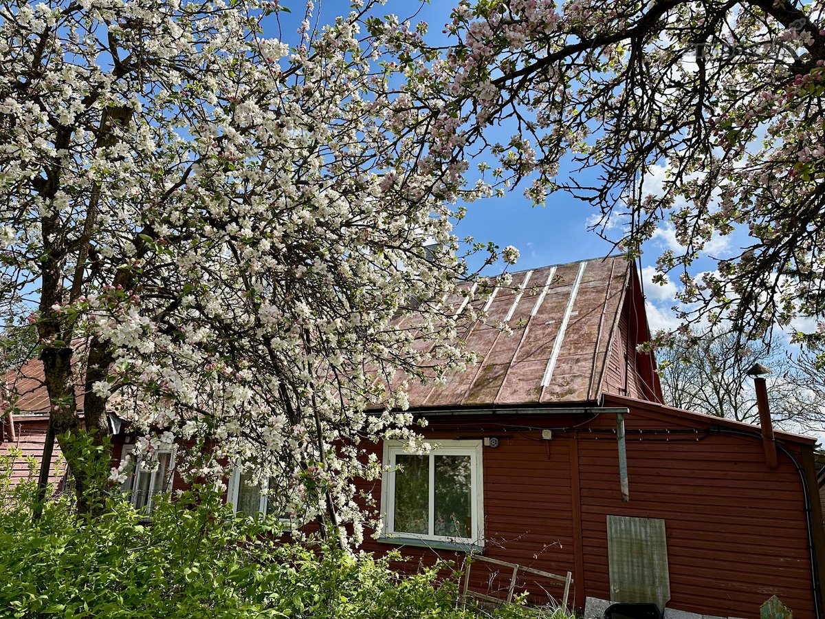 Parduodamas dviejų kambarių butas Kavarsko - nuotraukos Nr. 27