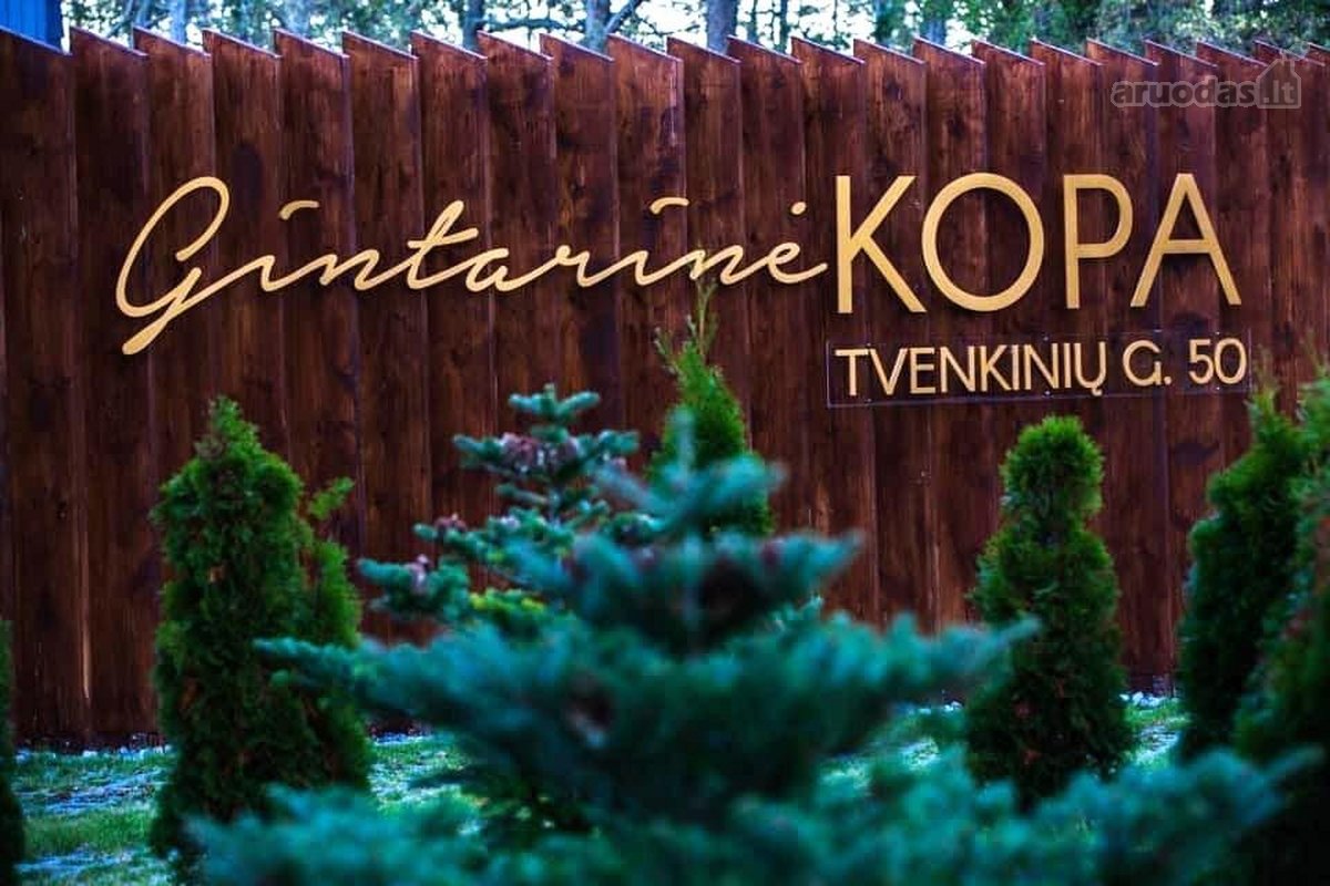 Pirmoje pušyno linijoje, komplekse “Gintarinė - nuotraukos Nr. 27