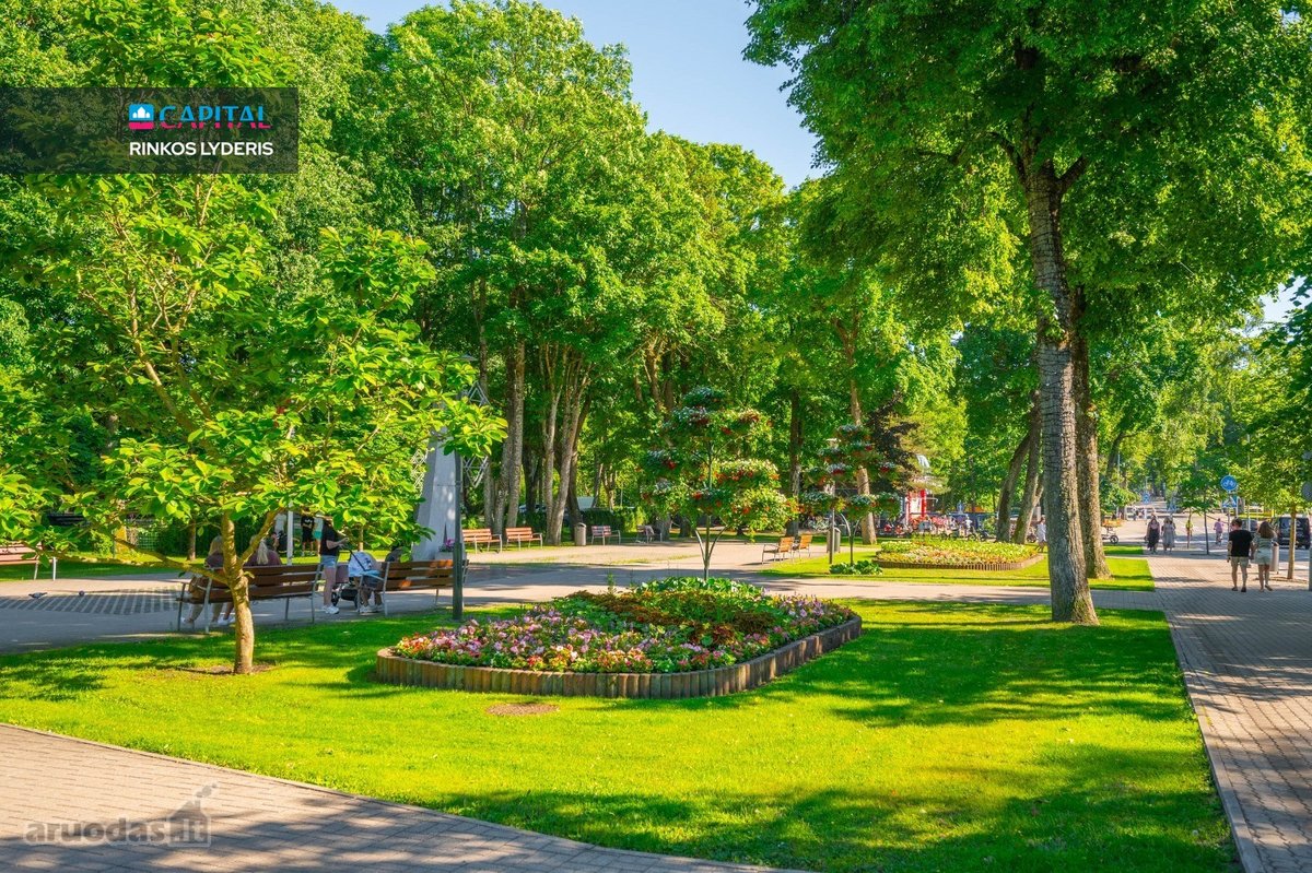 Wow City Palanga – gyvenimas miesto širdyje, - nuotraukos Nr. 33