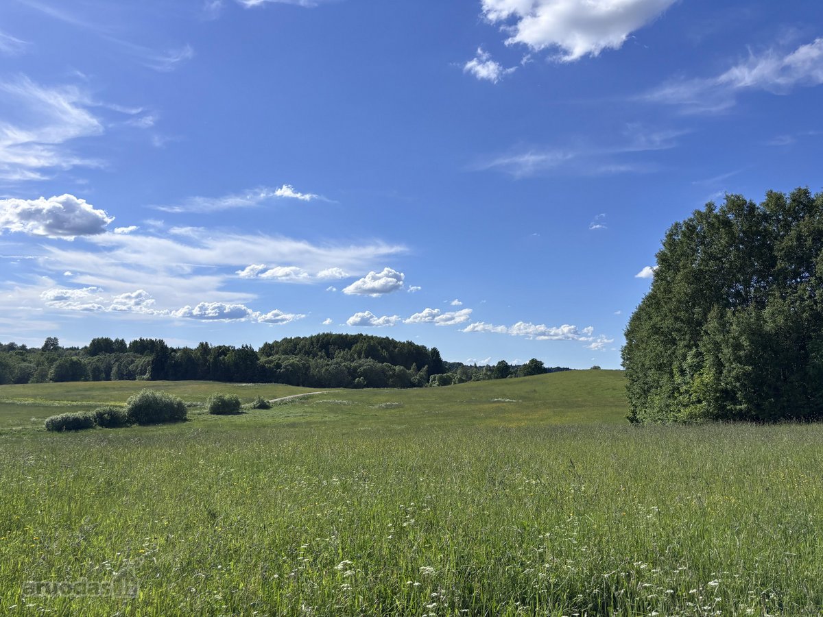 Sodyba Ant Kalvos Prie Miško – Ramybė, - nuotraukos Nr. 11