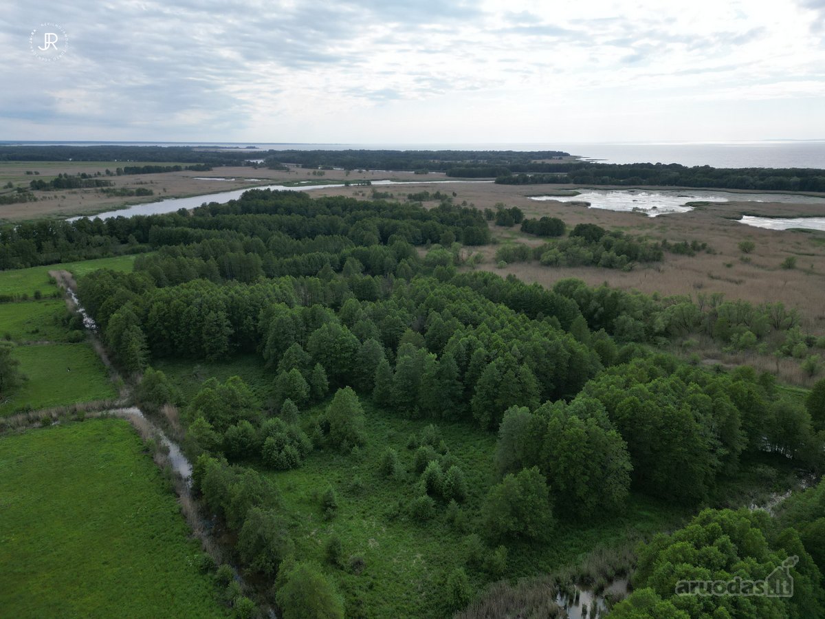 Parduodamas 4,27 ha Sklypas Rusnėje – Vanduo, - nuotraukos Nr. 3