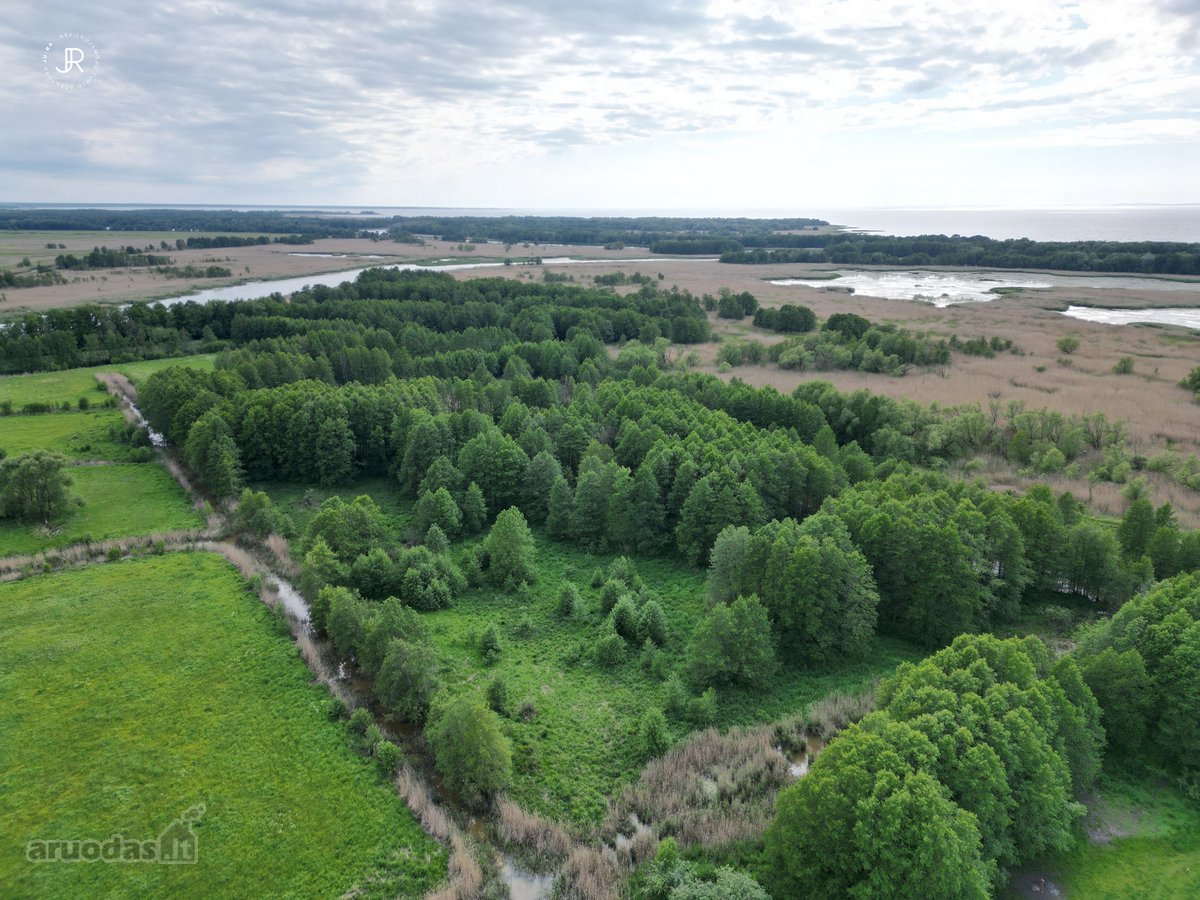 Parduodamas 4,27 ha Sklypas Rusnėje – Vanduo, - nuotraukos Nr. 2