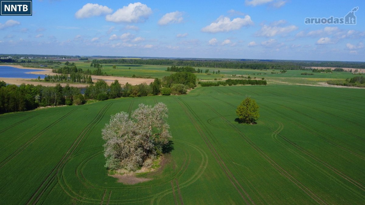 Parduodamas Rekreacinės Paskirties žemės - nuotraukos Nr. 14