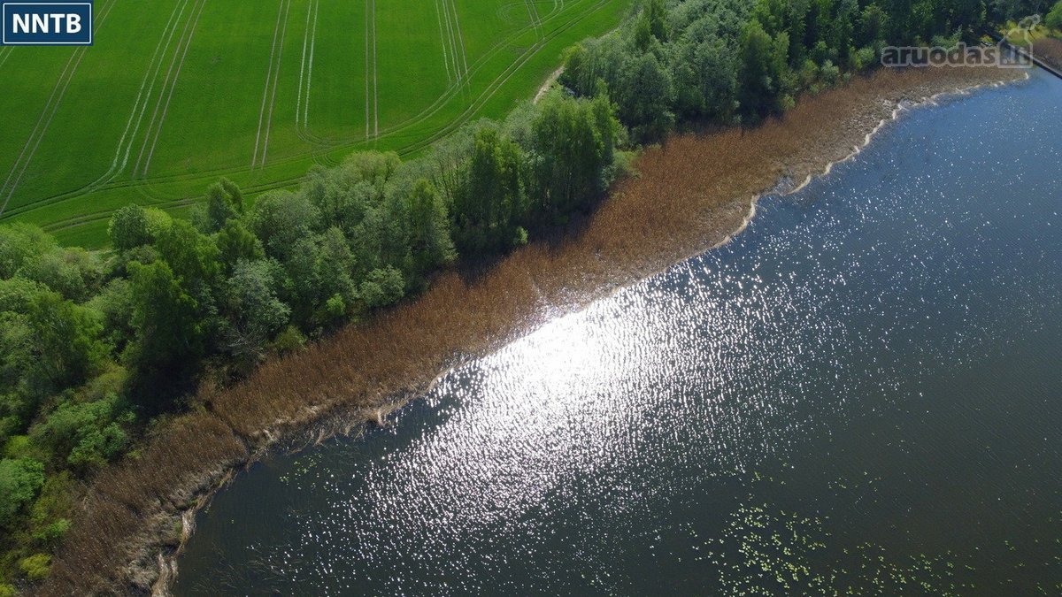 Parduodamas Rekreacinės Paskirties žemės - nuotraukos Nr. 8