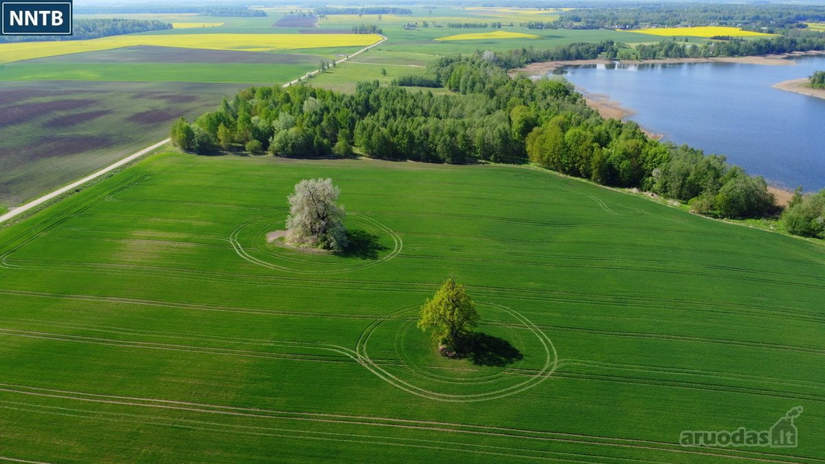 Parduodamas Rekreacinės Paskirties žemės - nuotraukos Nr. 17