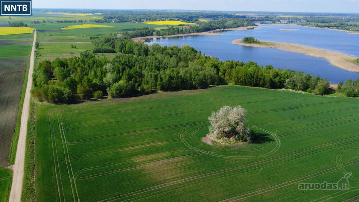 Parduodamas Rekreacinės Paskirties žemės - nuotraukos Nr. 19