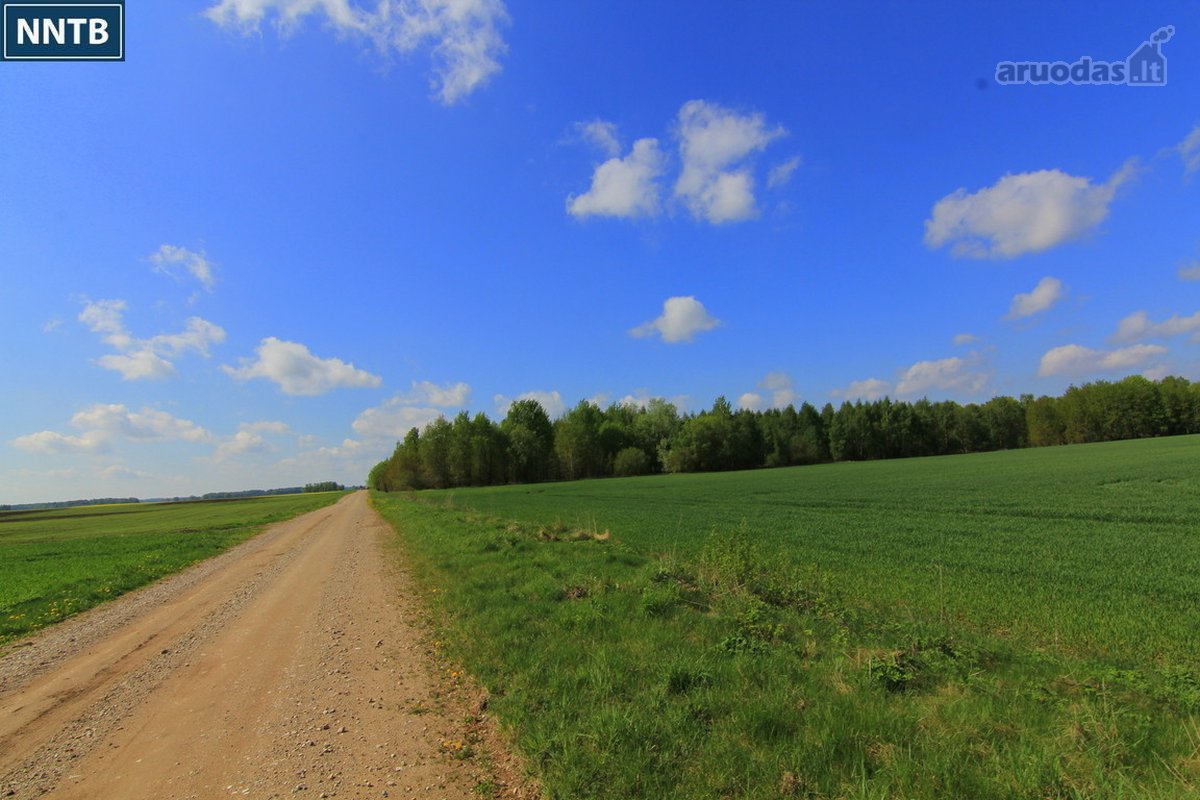 Parduodamas Rekreacinės Paskirties žemės - nuotraukos Nr. 23