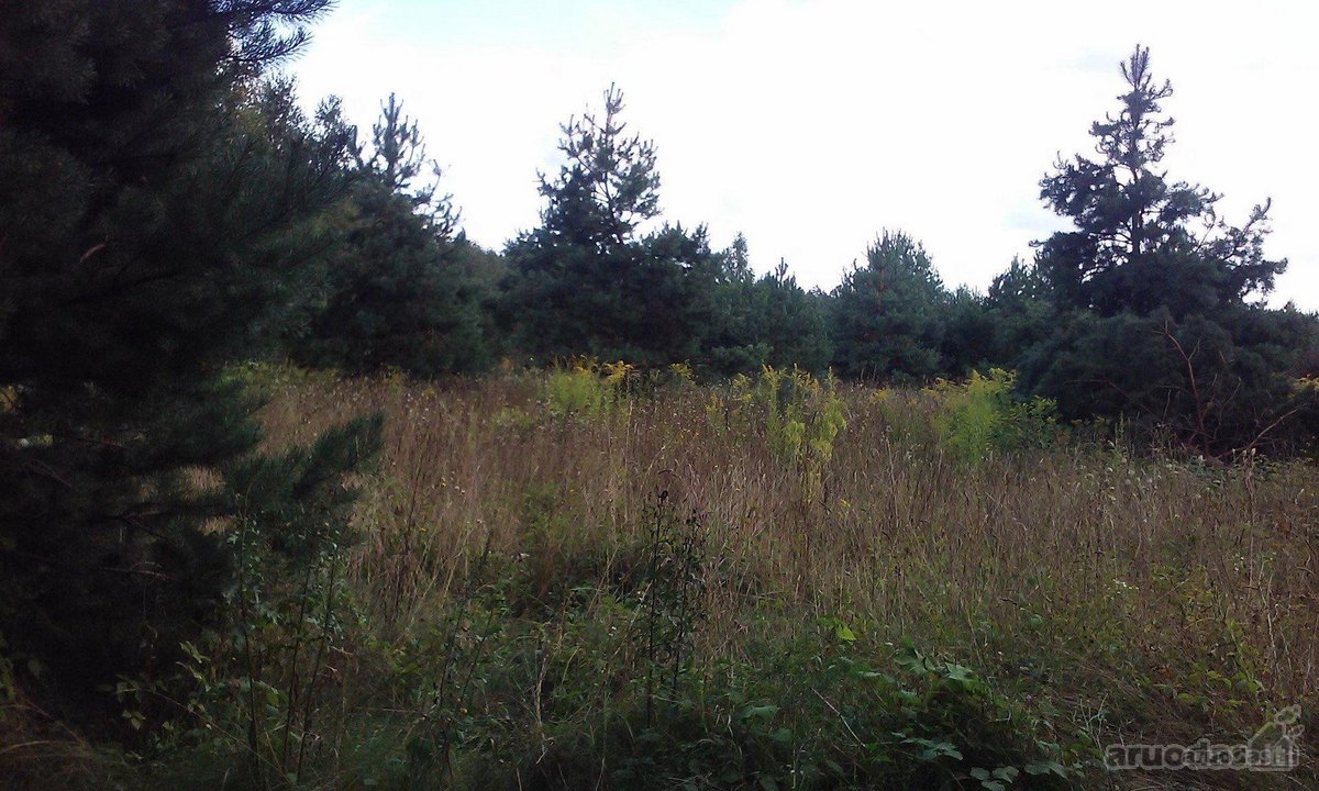 Parduodamas namų valdos žemės sklypas. - nuotraukos Nr. 2