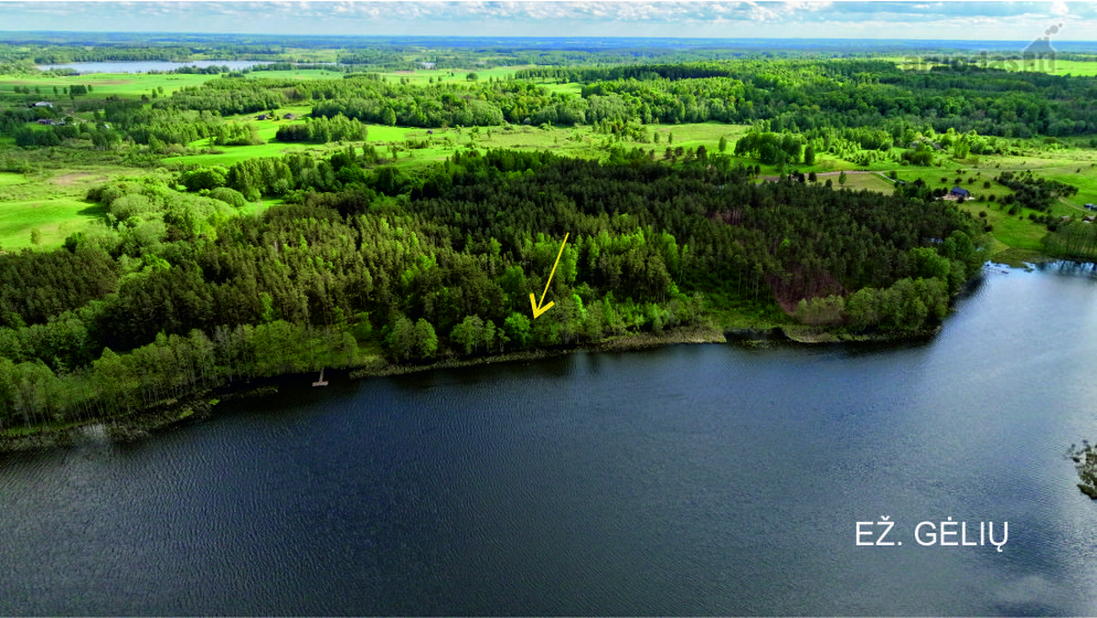 Parduodamas 8.21 Ha žemės ūkio paskirties