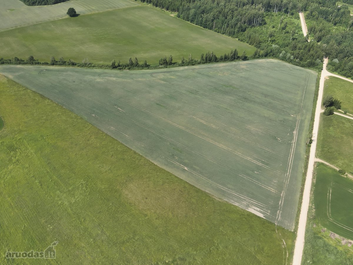 Parduodami du gretimi sklypai kartu arba - nuotraukos Nr. 3