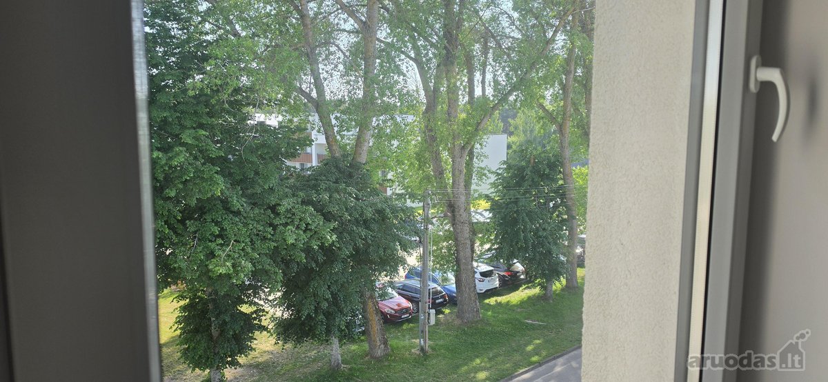 Vos 50 metrų ir jau balto smėlio kopose, ir - nuotraukos Nr. 16