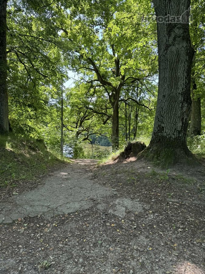 Isnuomojamas modernaus stiliaus ir ypatingai - nuotraukos Nr. 7