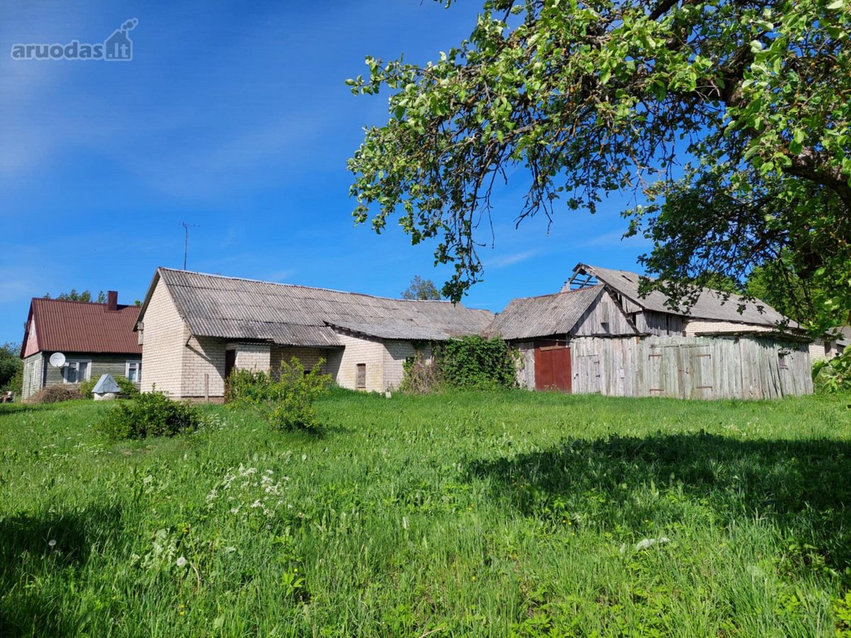 Sodyba su 25 arų sklypu – 16 000 €, su žemės - nuotraukos Nr. 6