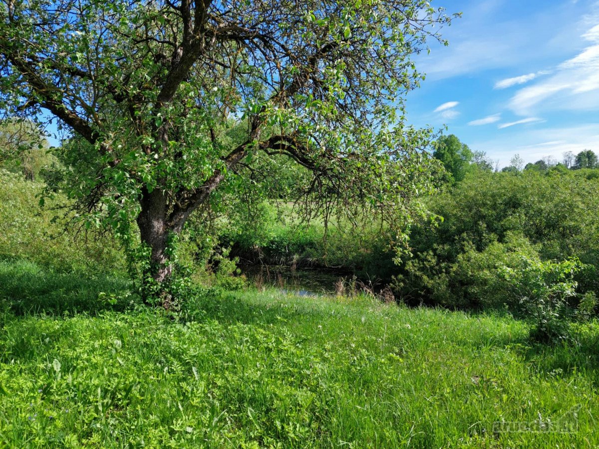 Sodyba su 25 arų sklypu – 16 000 €, su žemės - nuotraukos Nr. 7