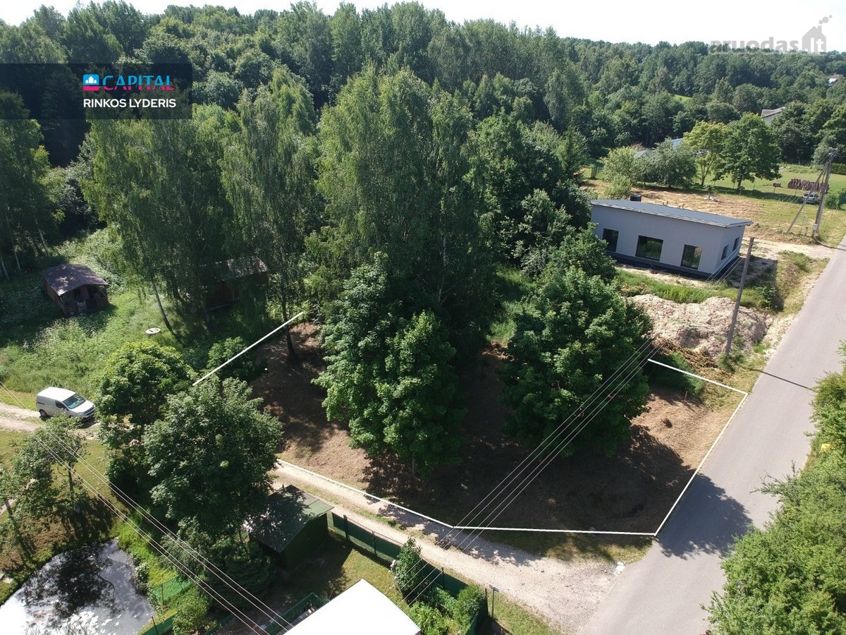 Kampinis 6 arų sklypas Brinkiškėse – brandūs - nuotraukos Nr. 8